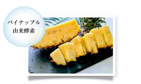パイナップル由来酵素
