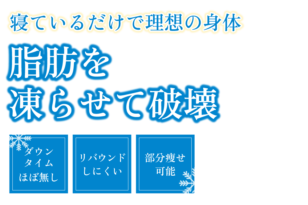 寝ているだけで理想の身体脂肪を凍らせて破壊