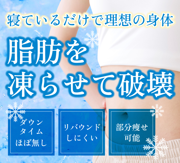 寝ているだけで理想の身体脂肪を凍らせて破壊